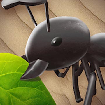 Ant Kingdom War